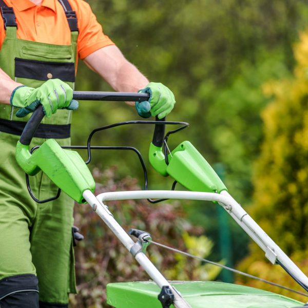 grass-field-mowing.jpg